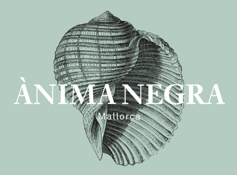 Bodegas Anima Negra