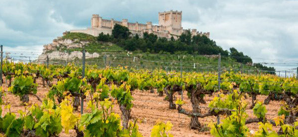 Castilla y Leon