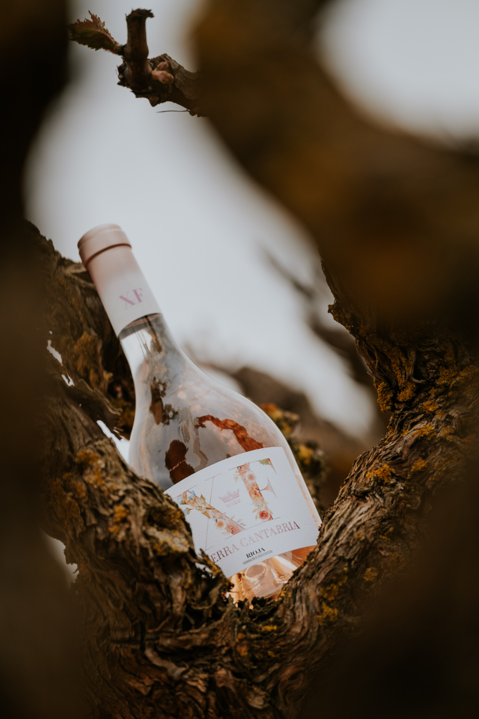 Bodegas Sierra Cantabria
