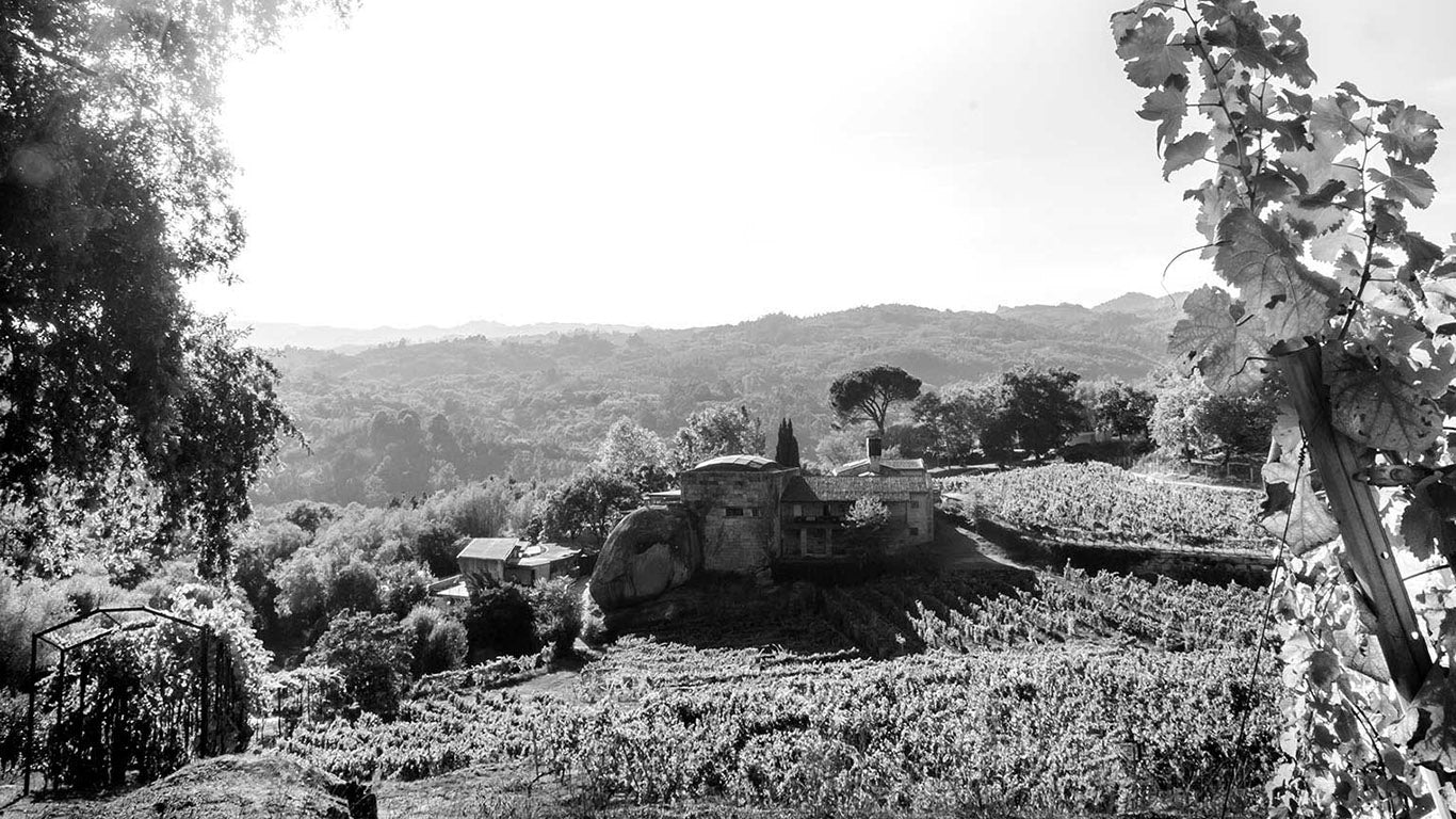 Bodegas Viña Meìn Emilio Rojo