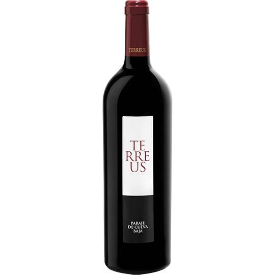 Mauro Terreus  2020 Castilla Y Leòn